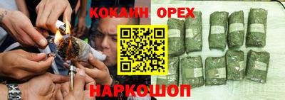 Альфа ПВП Можга