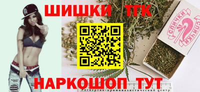 Альфа ПВП Можга