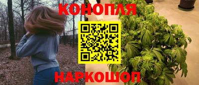 крисы Можайск