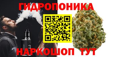 Альфа ПВП Можга