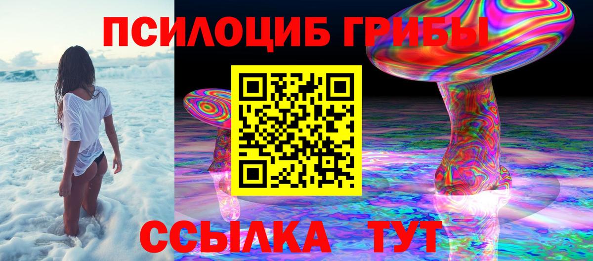 Псилоцибиновые грибы GOLDEN TEACHER  Вход с VPN  Вышний Волочёк 